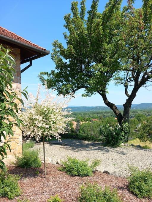 Donauresidenz Appartement Dunabogdány Buitenkant foto